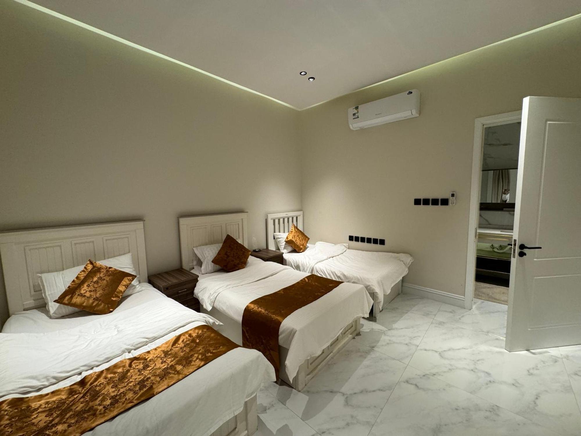 فاخرة ٣ غرف وصالة ٣ Apartment *